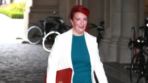 L'ex ministro chiede la fine dell'uso di NDAS "a due livelli"