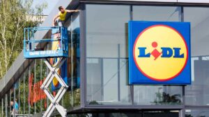 Tribunal reperti la necessità di laurea in ridondanza era ageist