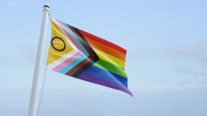 Perché LGBTQ+ non è un grande acronimo felice