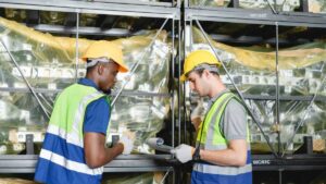 Più di nove su 10 celebrano i pass a livello T