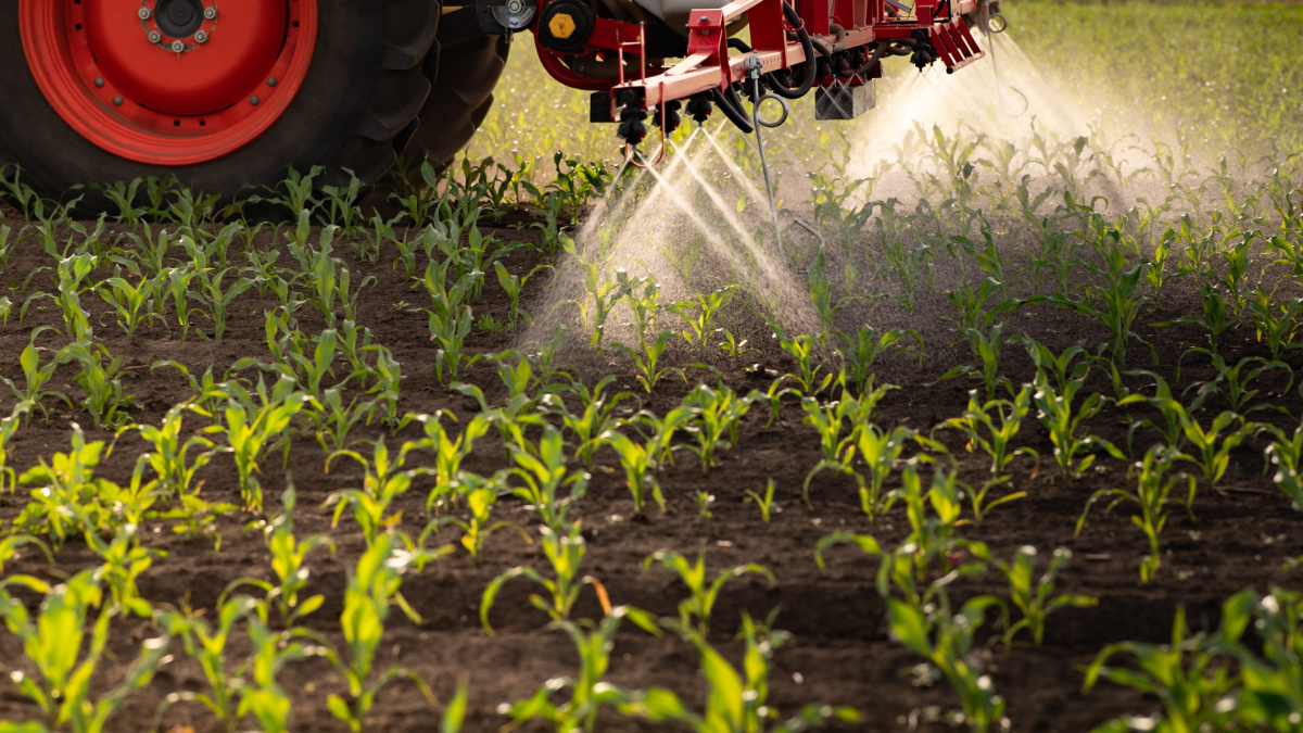 Lavorare con pesticidi legati a un rischio maggiore di malattia respiratoria