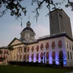 Come un disegno di legge sui pronomi della Florida potrebbe scontrarsi con il titolo VII