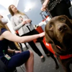 Il congedo ADA non retribuito era ragionevole per l'addestramento dei cani guida, afferma il 6° Circuito