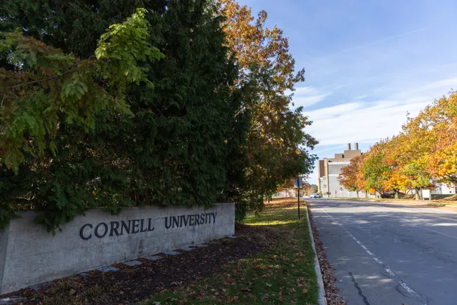 Cornell prevale sull'assunzione di una causa da parte del DEI dopo che il giudice ha scoperto che il querelante "non aveva intenzione di rientrare nel mondo accademico"